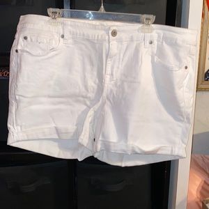 Torrid Shorts